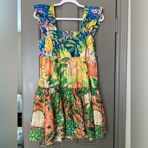 Farm Rio Caipirinha Mini Dress Size Medium NWT